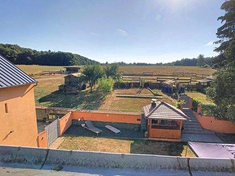 Scheidgen Bauernhöfe, Landwirtschaft, Scheidgen Forstwirtschaft