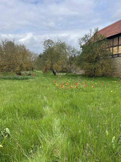 Mühlhausen Häuser, Mühlhausen Haus kaufen