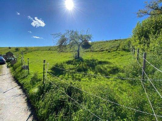 Traumhaftes Baugrundstück in ruhiger Ortsrandlage