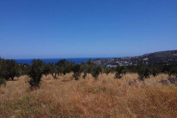 Kreta, Tsivaras: Grundstück in malerischer Lage mit Meerblick zu verkaufen