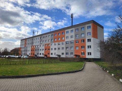 Magdeburg Wohnungen, Magdeburg Wohnung mieten