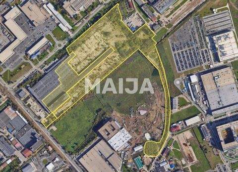 Timi?oara Büros, Büroräume, Büroflächen 