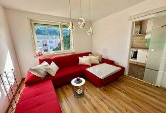 Wohnzimmer mit Küche