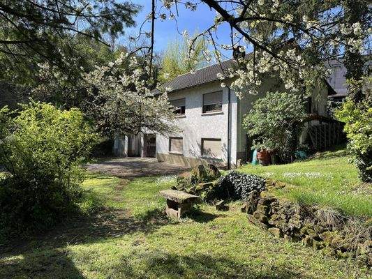 Garten u. Zugang Rückseite