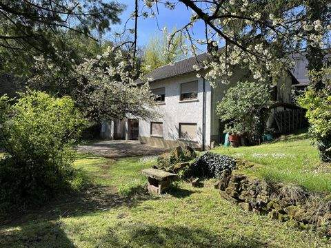 Neuleiningen Häuser, Neuleiningen Haus kaufen