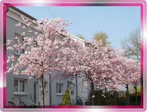 Bernau Häuser, Bernau Haus kaufen