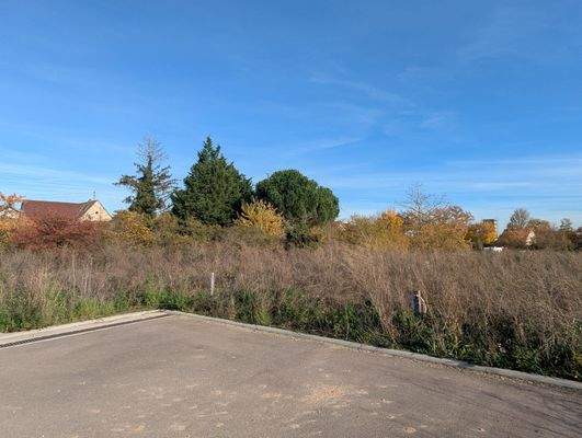 Zufahrt zum Grundstück
