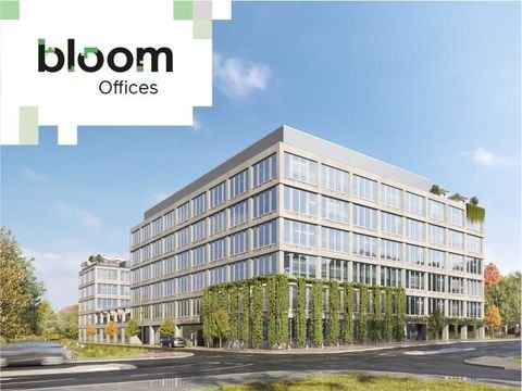 Ulm Büros, Büroräume, Büroflächen 