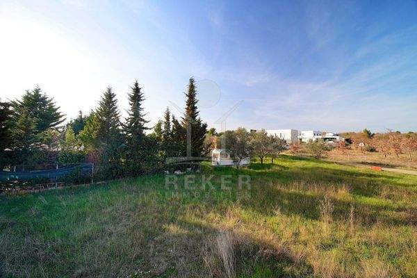 Baugrundstück am sanften Südhang