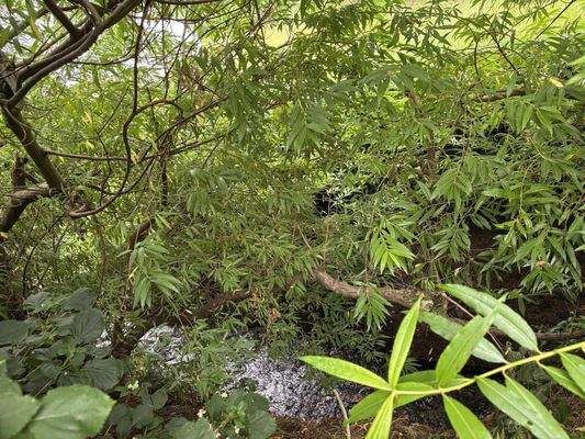 Lage am „Mühlbach“