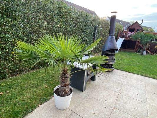 Terrasse mit Aussenkamin