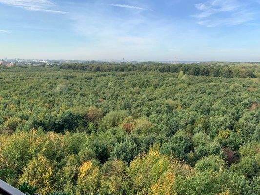 Fernblick vom Balkon