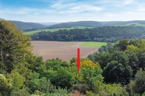 Orlamünde Grundstücke, Orlamünde Grundstück kaufen