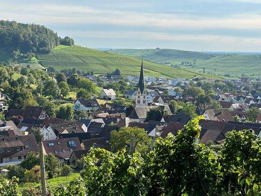 Aussicht auf Ebringen