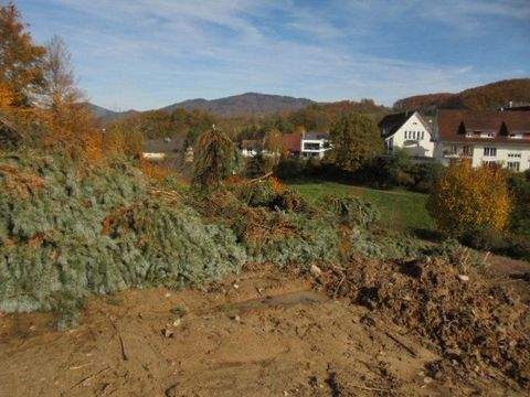 Schopfheim Häuser, Schopfheim Haus kaufen