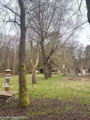 Blick Richtung Straße 