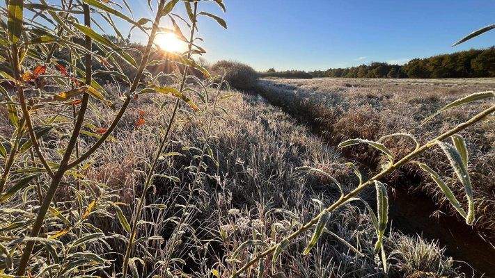 An Grundstücksgrenze mit Bach