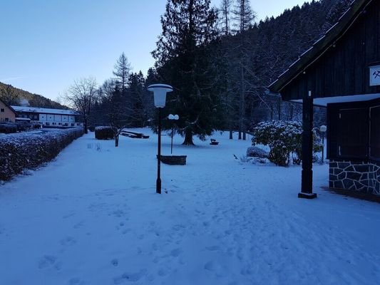 237279_lsr_2019020353543303585.jpg