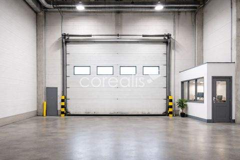 Erkrath Halle, Erkrath Hallenfläche