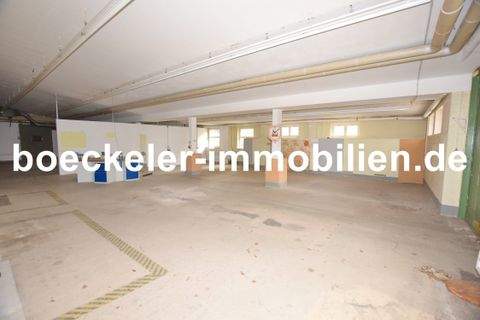 Naumburg Halle, Naumburg Hallenfläche