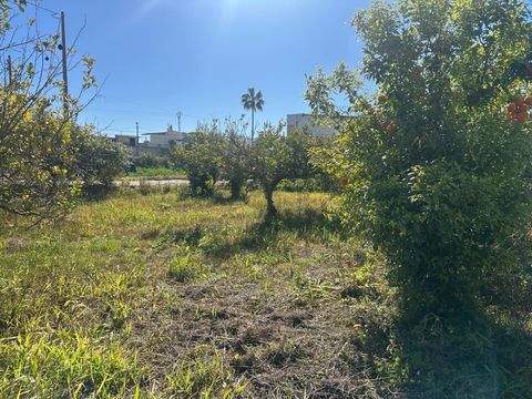 Murcia Grundstücke, Murcia Grundstück kaufen