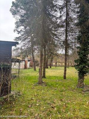 Blick über das Grundstück von der Straße aus 