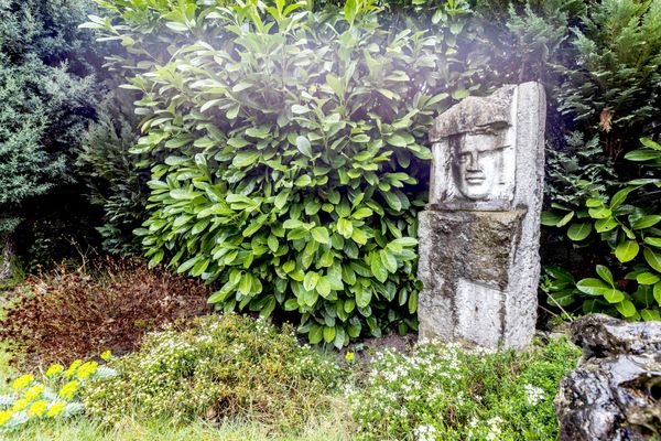 Gartenimpressionen