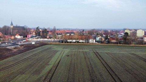 Schloßvippach Häuser, Schloßvippach Haus kaufen