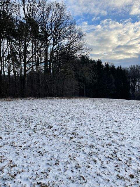 Sonnefeld Grundstücke, Sonnefeld Grundstück kaufen