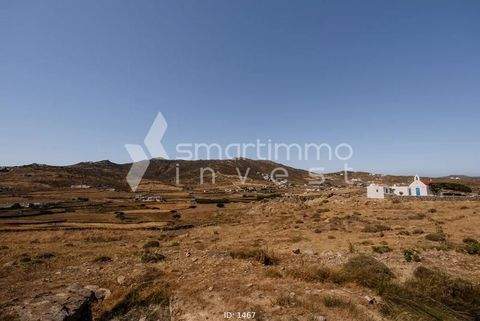 Tourlos, Mykonos Bauernhöfe, Landwirtschaft, Tourlos, Mykonos Forstwirtschaft