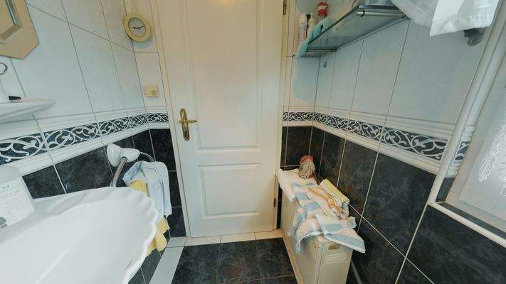 Gäste-WC mit Dusche EG