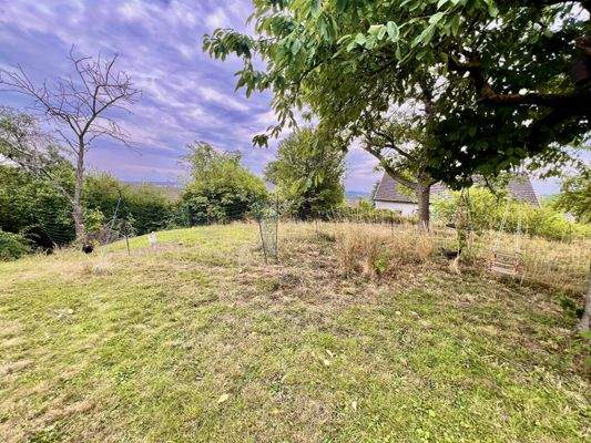 Eindrücke vom Grundstück