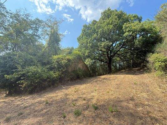 0,5 -20 Hektar Grundstück wählbar