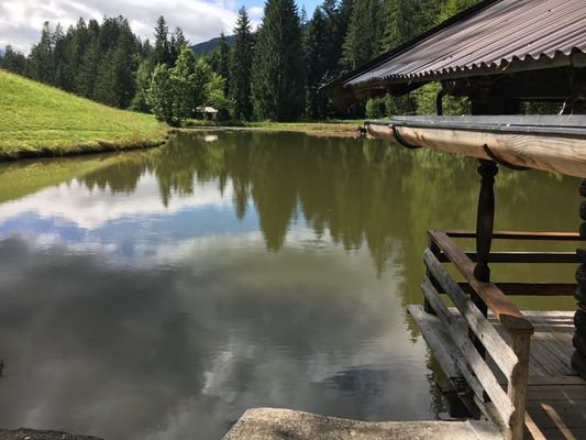 Badeteich im Sommer mit Sitzplatz