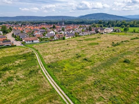 Muggensturm Grundstücke, Muggensturm Grundstück kaufen