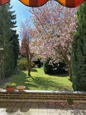 Terrasse / Garten