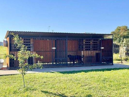 doppelter Hundezwinger