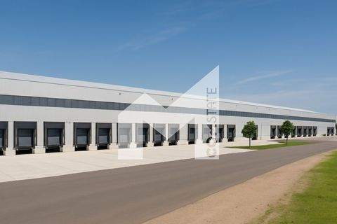 Dortmund Halle, Dortmund Hallenfläche