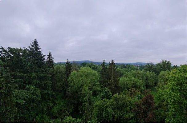 WhatsApp Bild 2024-06-01 um 19.07.17_a4238c77.jpg