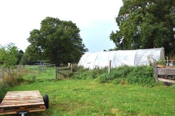 Folientunnel vom Unterstand