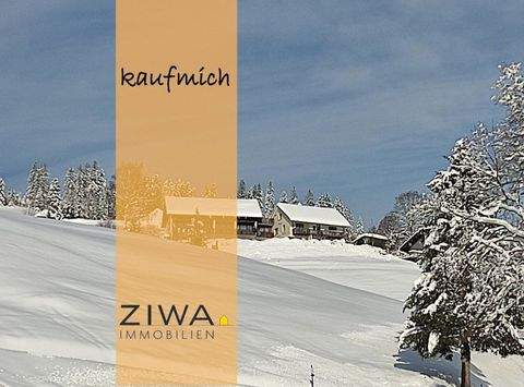 Todtnauberg Häuser, Todtnauberg Haus kaufen