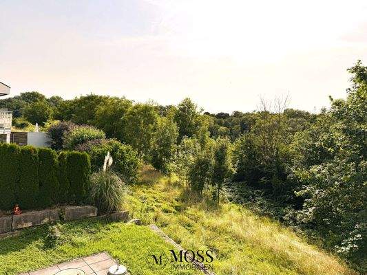 Blick von Dachterrasse