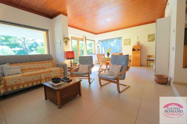 rif 0719(Copy29).jpg