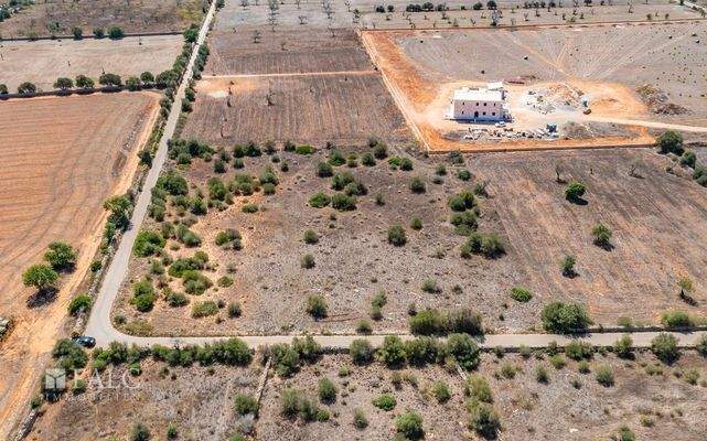 Grundstück-Cala Llombards-8