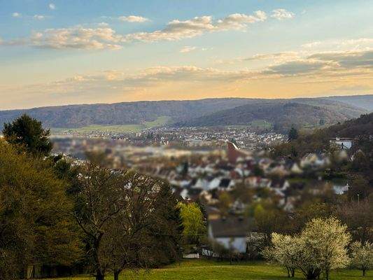 Franziskushöhe mit Blick über das Maintal