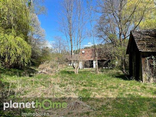 Waldrand und Strassen Ansicht_1