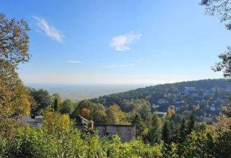 Blick vom darüber liegenden Waldgebiet (2).jpg