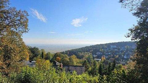Neustadt an der Weinstraße Häuser, Neustadt an der Weinstraße Haus kaufen