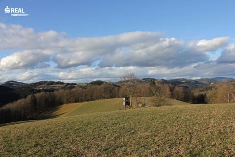 Sankt Nikola an der Donau Bauernhöfe, Landwirtschaft, Sankt Nikola an der Donau Forstwirtschaft