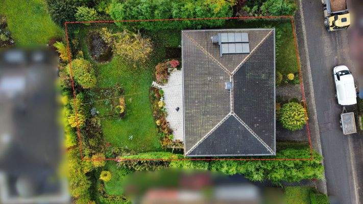 Untitled design.jpeg